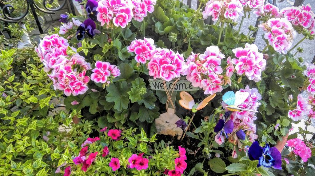 קרפניסיון Valentini Guesthouse מראה חיצוני תמונה